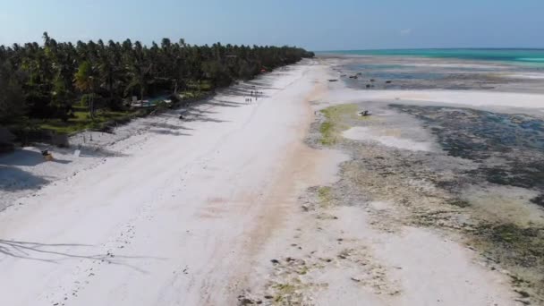 Un sacco di barche da pesca bloccato in sabbia al largo della costa a bassa marea, Zanzibar, Vista aerea — Video Stock