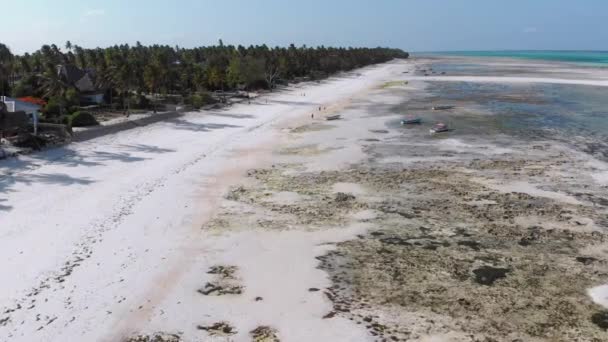 低潮、ザンジバル、空中ビューで砂の海岸に積み込まれた漁船の多く — ストック動画