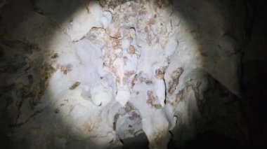 İkiz Mağara Tavanından sarkan Sarkık Kaya oluşumlarıyla Yeraltı Mağarası