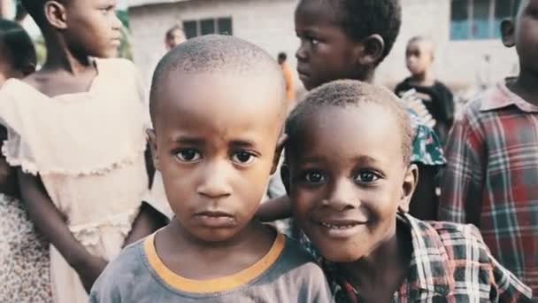 Garçons africains locaux curieux regardant dans la caméra dans le village de Zanzibar, Afrique — Video