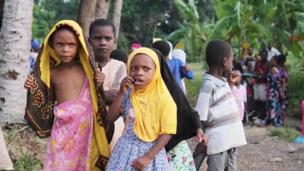 Yerel Afrikalı Çocuklar Köydeki Kameraya Bakıyor, Zanzibar, Afrika — Stok video