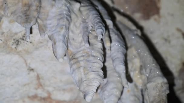 Grotte souterraine avec des formations rocheuses stalactites suspendues au plafond de la grotte des jumeaux — Video