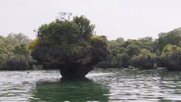 Λιμνοθάλασσα στο νησί Kwale στον κόλπο Menai, Mangroves with Reefs and Rocks, Ζανζιβάρη — Αρχείο Βίντεο