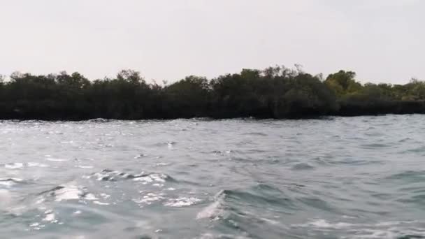 Лагуна на острове Квале в заливе Менай, мангровые заросли с рифами и скалами, Занзибар — стоковое видео