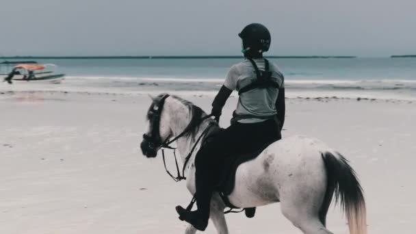 Jazda konna na tropikalnej plaży wzdłuż wybrzeża Oceanu, Zanzibar — Wideo stockowe