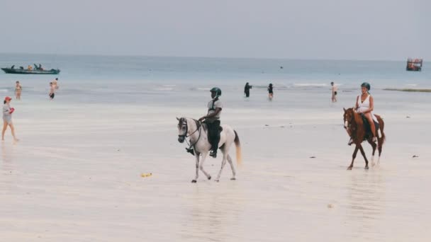 A caballo montando en una playa tropical a lo largo de la costa del océano, Zanzíbar — Vídeos de Stock