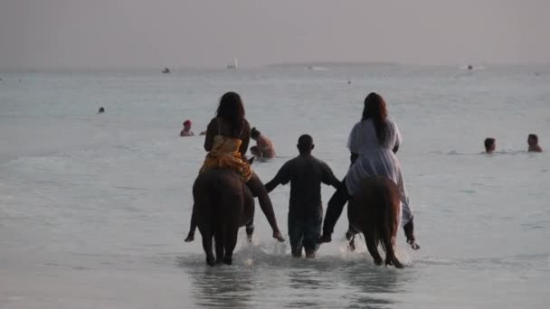 A caballo montando en una playa tropical a lo largo de la costa arenosa del océano, Zanzíbar — Vídeos de Stock