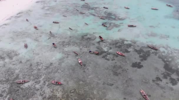 Lot Rybářské lodě uvízl v písku u pobřeží při odlivu, Zanzibar, Letecký pohled — Stock video