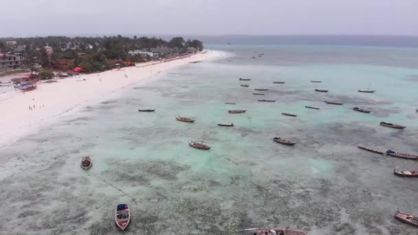 Lot Rybářské lodě uvízl v písku u pobřeží při odlivu, Zanzibar, Letecký pohled — Stock video