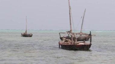 Çok Afrikalı Geleneksel Tahta Tekneler Ocean Beach Zanzibar 'dan Sığ Yüzeye Çapalanıyor