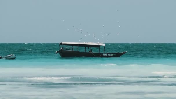 Afrikaanse Vissersboot in Ocean Sways on Waves een kudde meeuwen vliegt erboven — Stockvideo