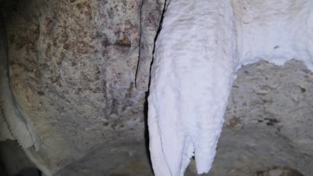 Grotte souterraine avec des formations rocheuses stalactites suspendues au plafond de la grotte des jumeaux — Video