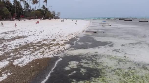Viele Fischerboote stecken bei Ebbe vor der Küste im Sand, Sansibar, Luftaufnahme — Stockvideo