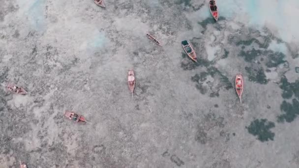 Bateaux De Pêche En Lot Coincés Au Sable Au large De La Côte à marée Basse, Zanzibar, Vue Aérienne — Video