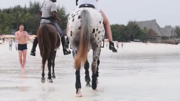 A caballo montando en una playa tropical a lo largo de la costa arenosa del océano, Zanzíbar — Vídeo de stock