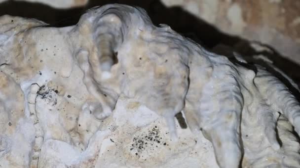 Underground Cave with Stalactite Rock Formations Hanging from Twins Cave Ceiling — Stock Video