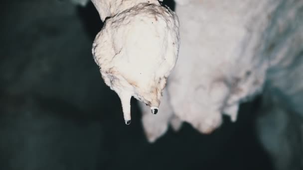 Underground Cave with Stalactite Rock Formations Hanging from Twins Cave Ceiling — Stock Video