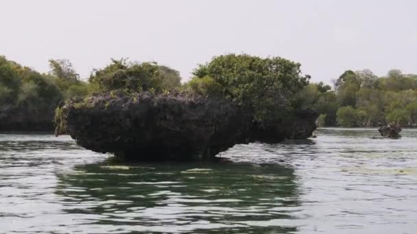 Lagun på Kwale Island i Menai Bay, Mangroves med rev och klippor, Zanzibar — Stockvideo