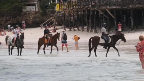 Paardrijden op een tropisch strand langs de kust van de oceaan, Zanzibar — Stockvideo