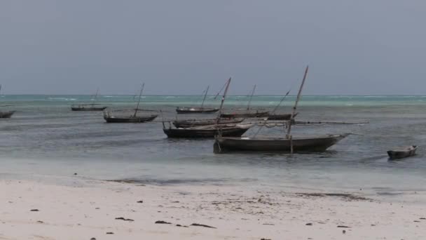 Viele traditionelle afrikanische Holzboote am flachen Strand von Ocean Beach Sansibar verankert — Stockvideo