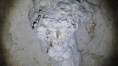 İkiz Mağara Tavanından sarkan Sarkık Kaya oluşumlarıyla Yeraltı Mağarası