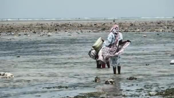 Lokala afrikanska kvinnor samla skaldjur i grunda vatten i Ocean Low Tide Zanzibar — Stockvideo