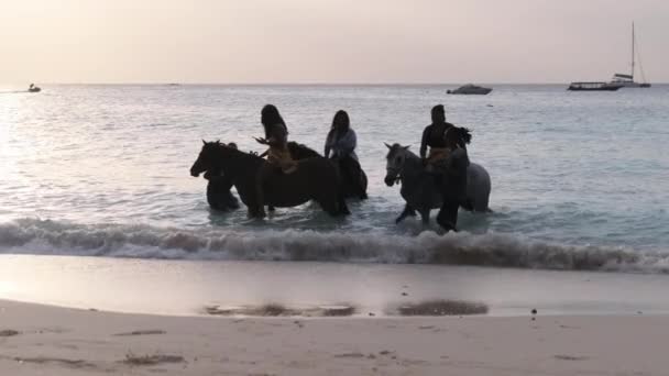 Horseback Riding on a Tropical Beach along the Sandy Coast of Ocean, Zanzibar — Stock Video