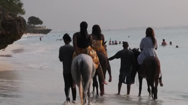 A caballo montando en una playa tropical a lo largo de la costa del océano, Zanzíbar — Vídeo de stock