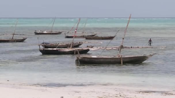 Lote de barcos de madera tradicionales africanos anclados en aguas poco profundas por Ocean Beach Zanzíbar — Vídeo de stock