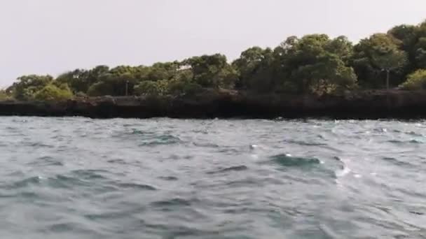 メナイ湾にあるクワレ島のラグーン,サンゴ礁と岩とマングローブ,ザンジバル — ストック動画