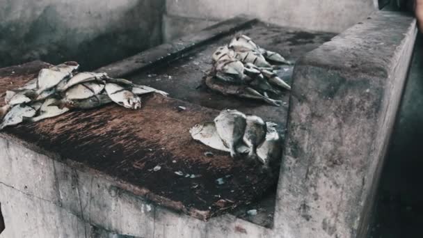 Fish Market in Africa, Sea Fish Lies on Dirty, Unsanitary Display Case, Zanzibar — Stock Video