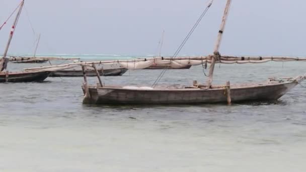 Lot Afrykańskie tradycyjne drewniane łodzie zakotwiczone na płyciźnie przez Ocean Beach Zanzibar — Wideo stockowe