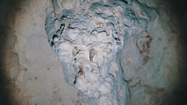 Cueva subterránea con formaciones de roca de estalactita colgando del techo de la cueva de gemelos — Vídeos de Stock