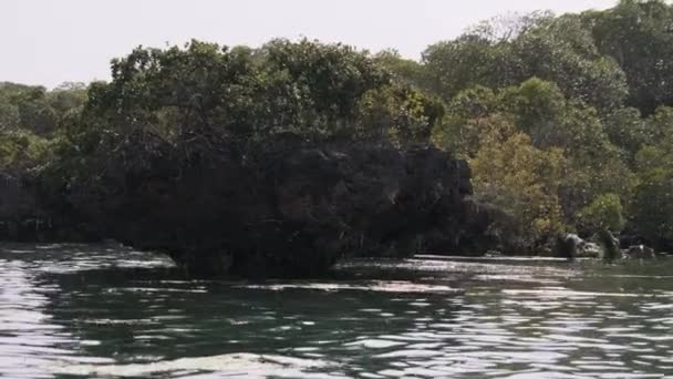 Lagoa na Ilha Kwale, em Menai Bay, Manguezais com recifes e rochas, Zanzibar — Vídeo de Stock