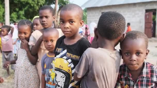 Niños africanos locales curiosos mirando a la cámara en la aldea de Zanzíbar, África — Vídeos de Stock