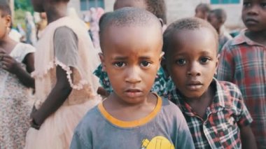 Afrika 'nın Zanzibar Köyü' ndeki Kameraya Meraklı Yerel Afrikalı Çocuklar