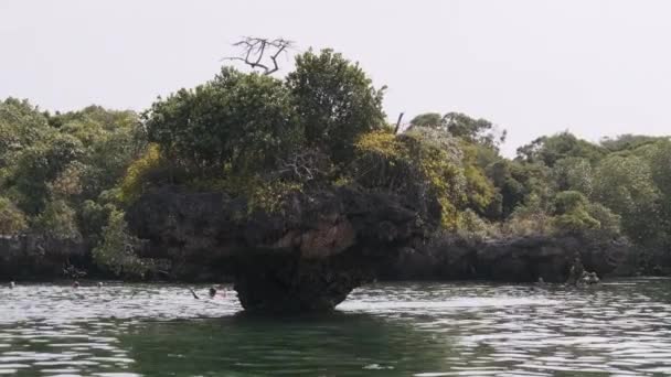 Lagoon at Kwale Island in Menai Bay, Mangroves with Reefs and Rocks, Zanzibar — Stock Video