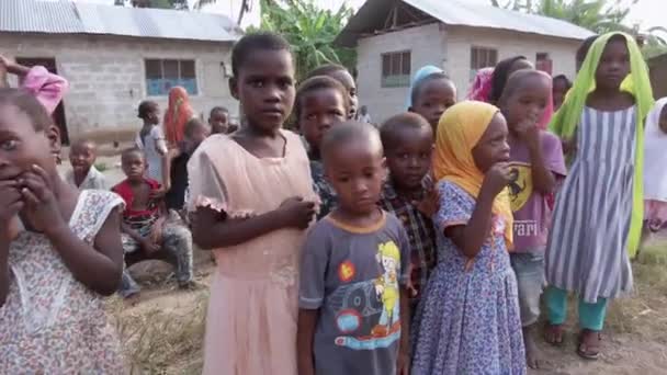 ( 영어 ) Crowd of Curious Local Children on African Wedding in a Local Village, Zanzibar — 비디오