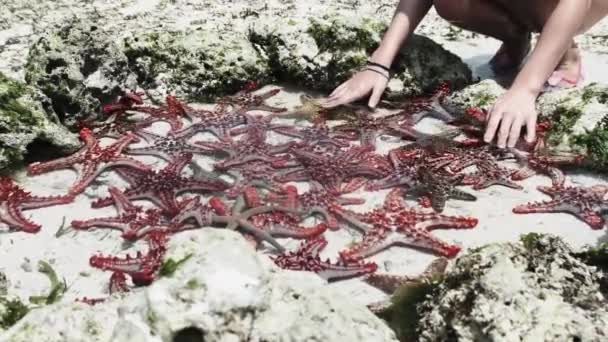 Spousta barevných hvězdic leží v přírodním korálovém akváriu na pobřeží oceánu — Stock video