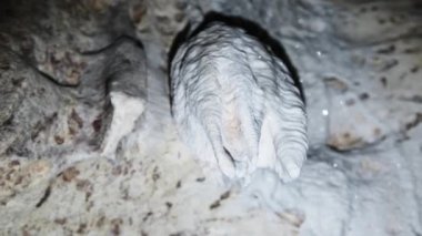 İkiz Mağara Tavanından sarkan Sarkık Kaya oluşumlarıyla Yeraltı Mağarası