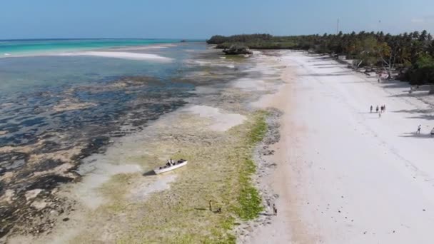 Många fiskebåtar fast i Sand utanför kusten vid Low Tide, Zanzibar, Flygfoto — Stockvideo