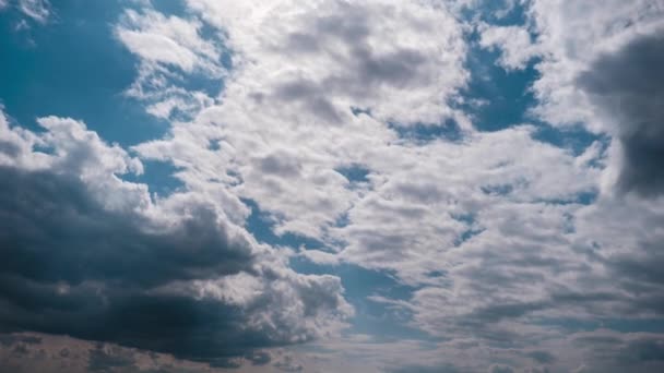 灰色の積雲のタイムラプスがブルードラマティックな空に動く、 Cirrus Cloud Space — ストック動画