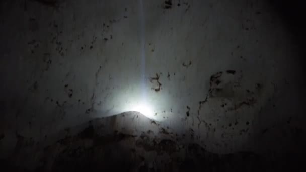 Cueva subterránea con formaciones de roca de estalactita colgando del techo de la cueva de gemelos — Vídeo de stock