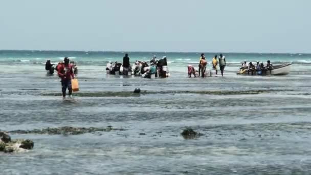 Místní africké ženy sbírají mořské plody v mělkých vodách oceánu Low Tide Zanzibar — Stock video