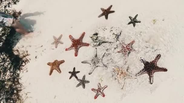 Un sacco di colorate stelle marine giace sulla spiaggia di sabbia nell'oceano poco profondo, cielo stellato — Video Stock