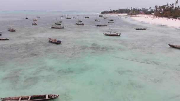 Lot Fishing Boats Stuck in Sand off Coast at Low Tide, Zanzibar, Aerial View — Stock Video
