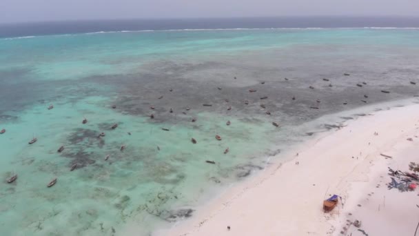 Lot Łodzie rybackie utknął w piasku u wybrzeży na odpływie, Zanzibar, Widok z lotu ptaka — Wideo stockowe