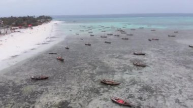 Low Tide 'da, Zanzibar' da, Kum Kıyısında Kum Tekneleri Sıkıştı