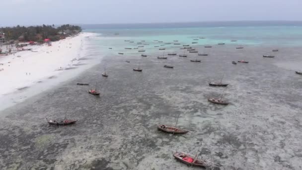 Lote barcos de pesca atrapados en la arena frente a la costa en marea baja, Zanzíbar, Vista aérea — Vídeos de Stock