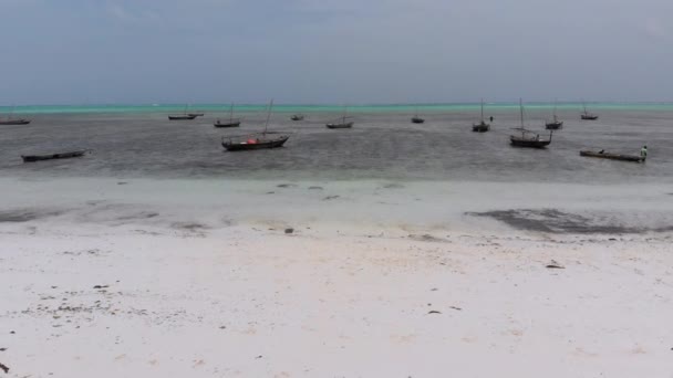 Lot Fishing Boats Stuck in Sand off Coast at Low Tide, Zanzibar, Aerial View — стокове відео